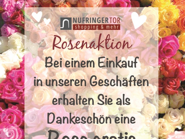 Für einen Einkauf eine Rose gratis